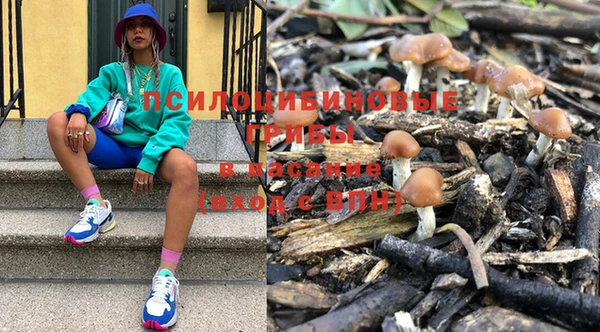 ПСИЛОЦИБИНОВЫЕ ГРИБЫ Балахна