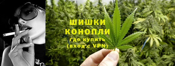 ПСИЛОЦИБИНОВЫЕ ГРИБЫ Балахна