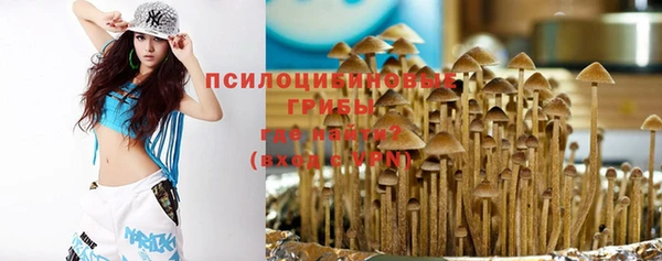 крисы Арсеньев