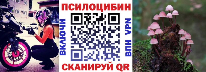 что такое наркотик  Райчихинск  Галлюциногенные грибы Psilocybine cubensis 
